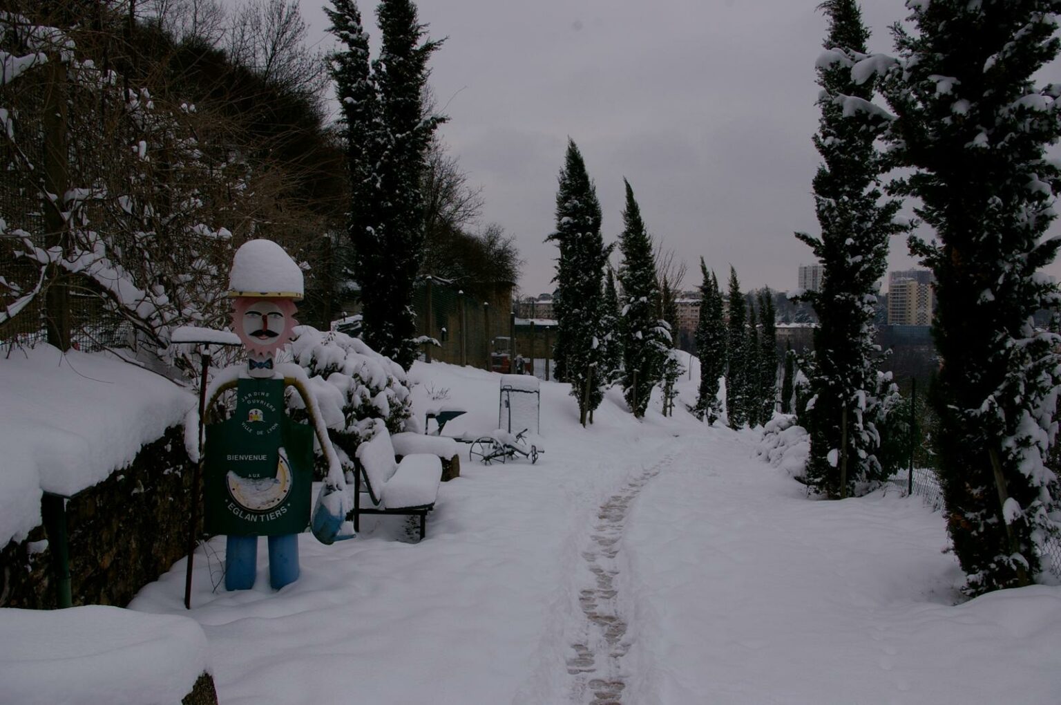 29f1bd00-c247-42b8-a45d-53c479571caf