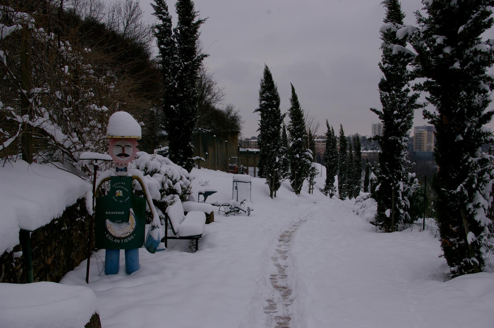 29f1bd00 C247 42b8 A45d 53c479571caf