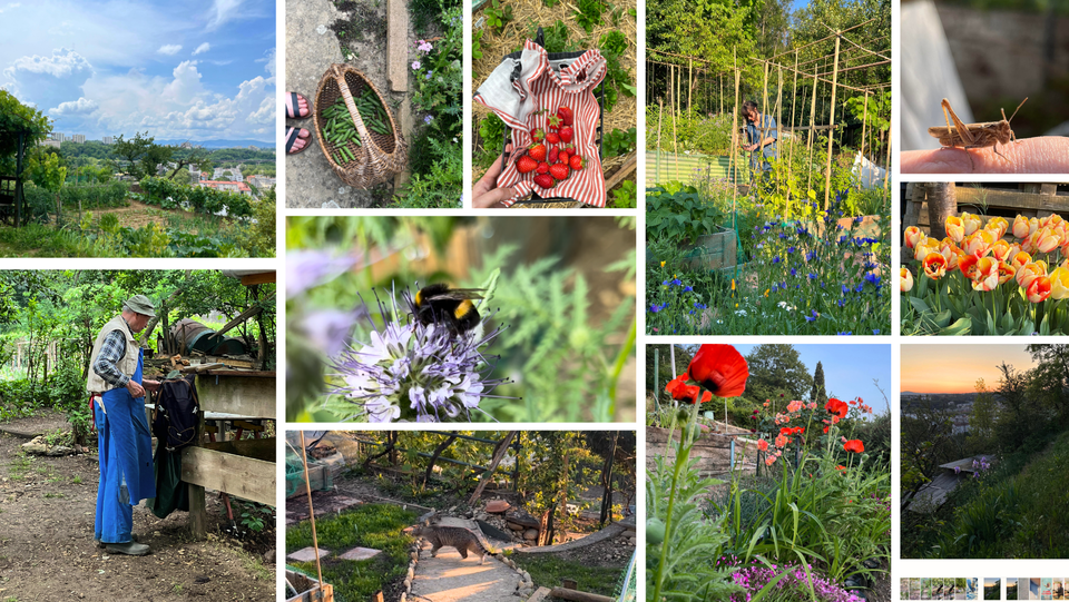 347555467 102185292931289 295300446286207454 n