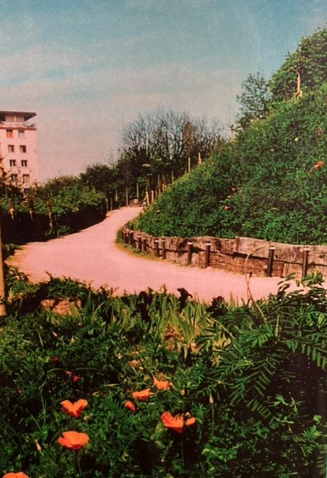 532c49d5-118c-4c6c-826d-85df564c165e