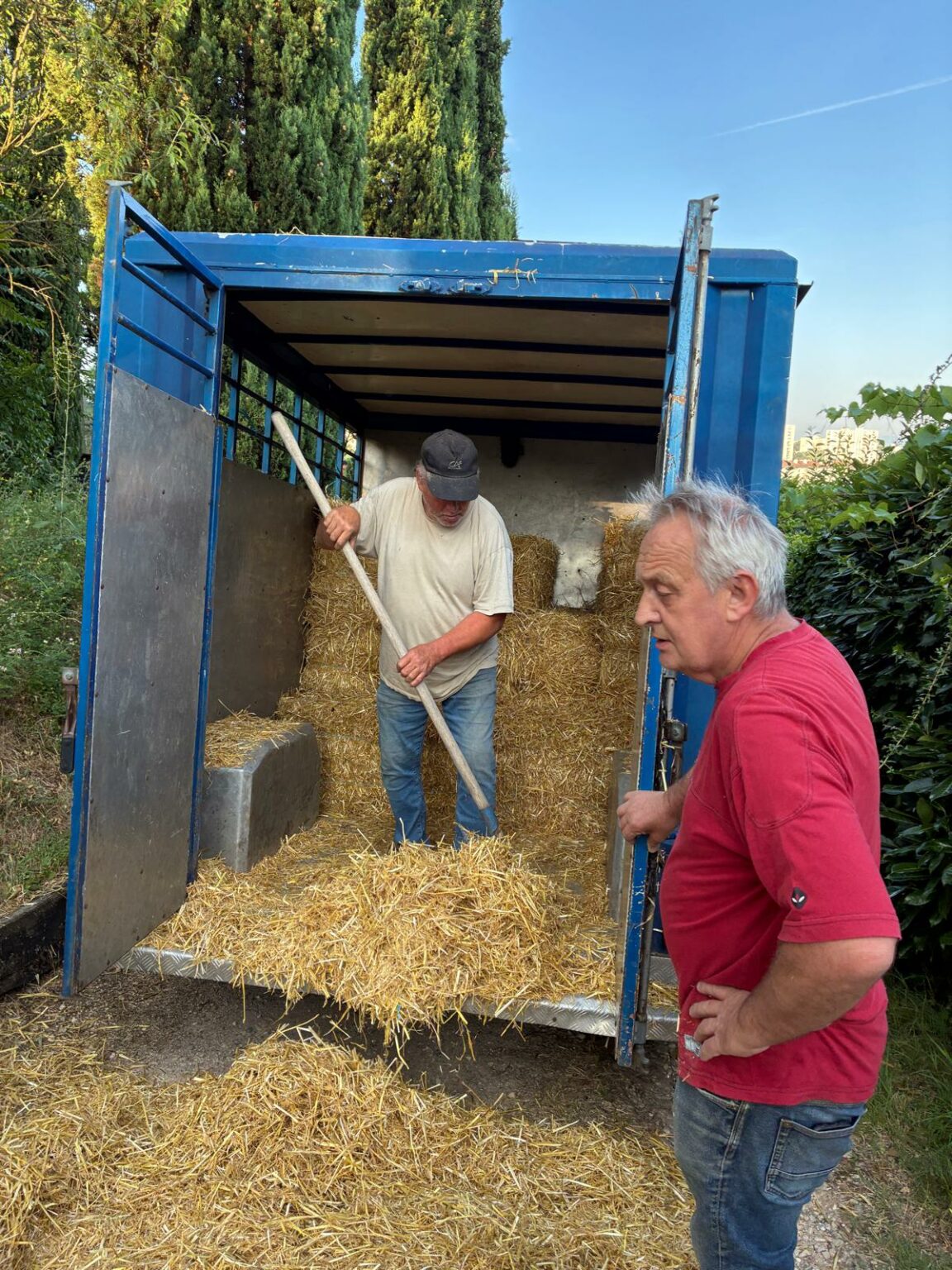 whatsapp image 2025 11 11 at 18.32.33