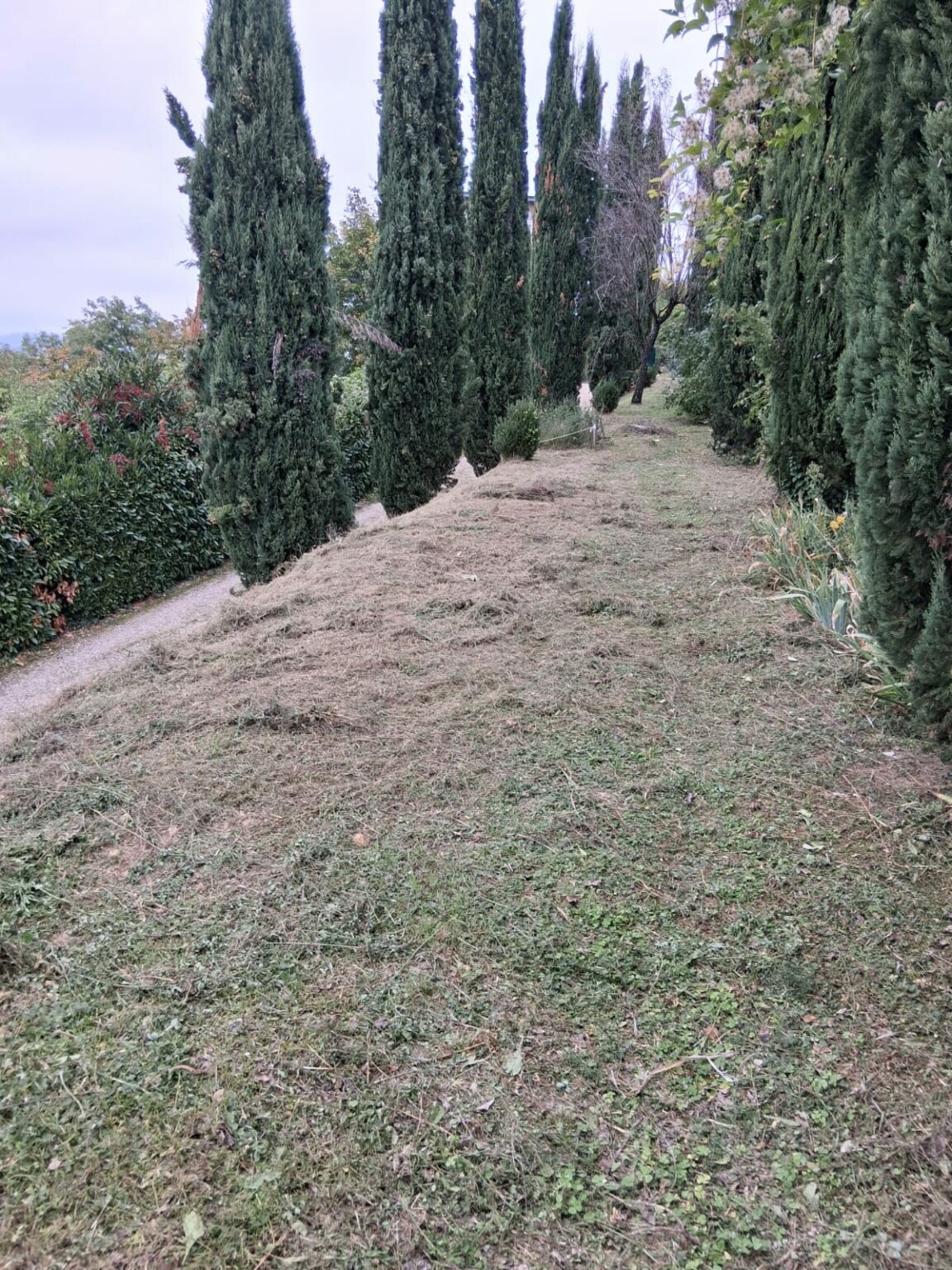 whatsapp image 2025 11 11 at 18.36.20