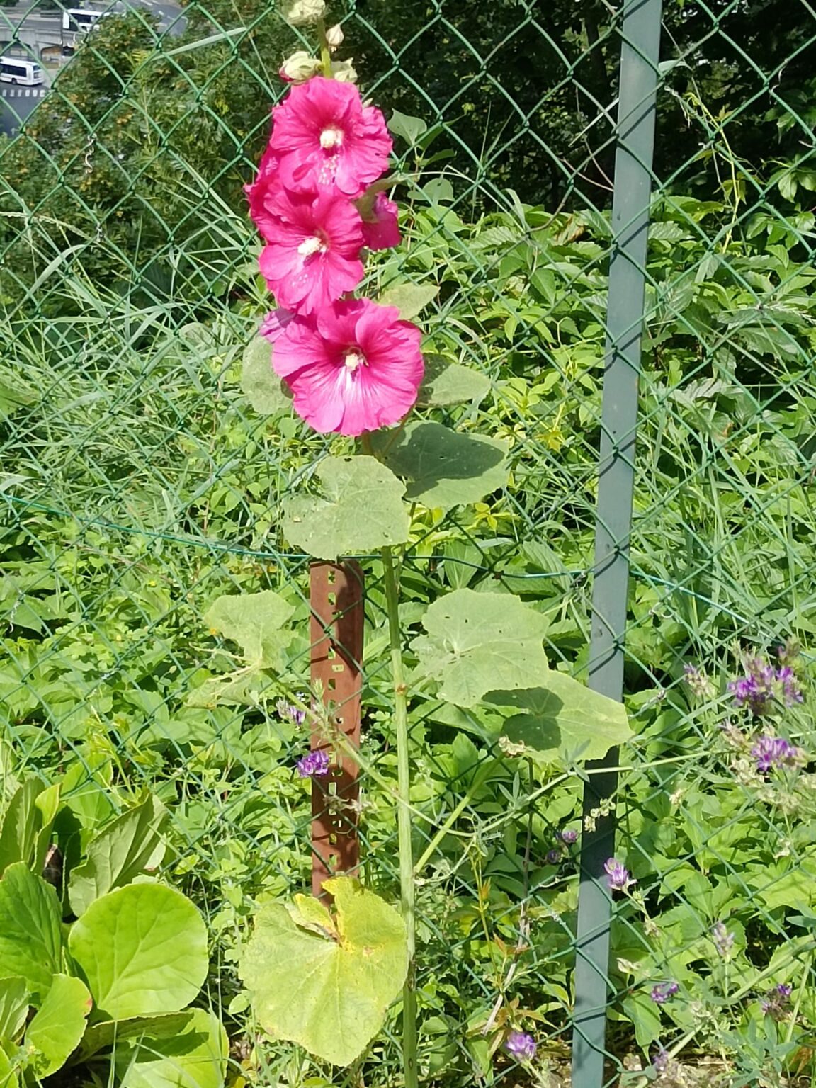 whatsapp image 2025 11 11 at 18.37.29