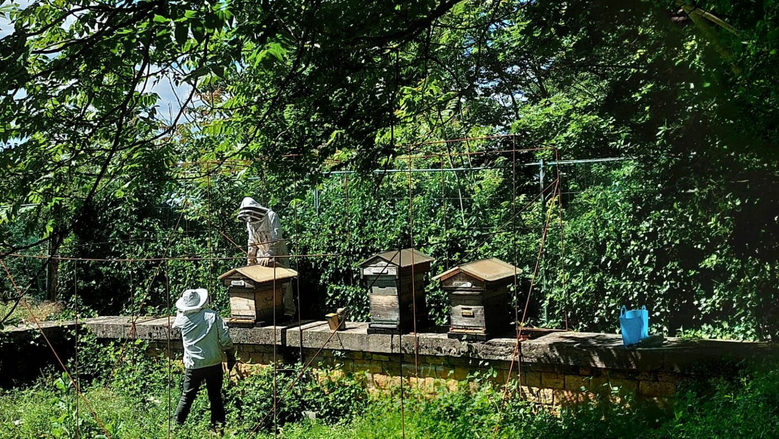 whatsapp image 2025 11 11 at 18.39.19