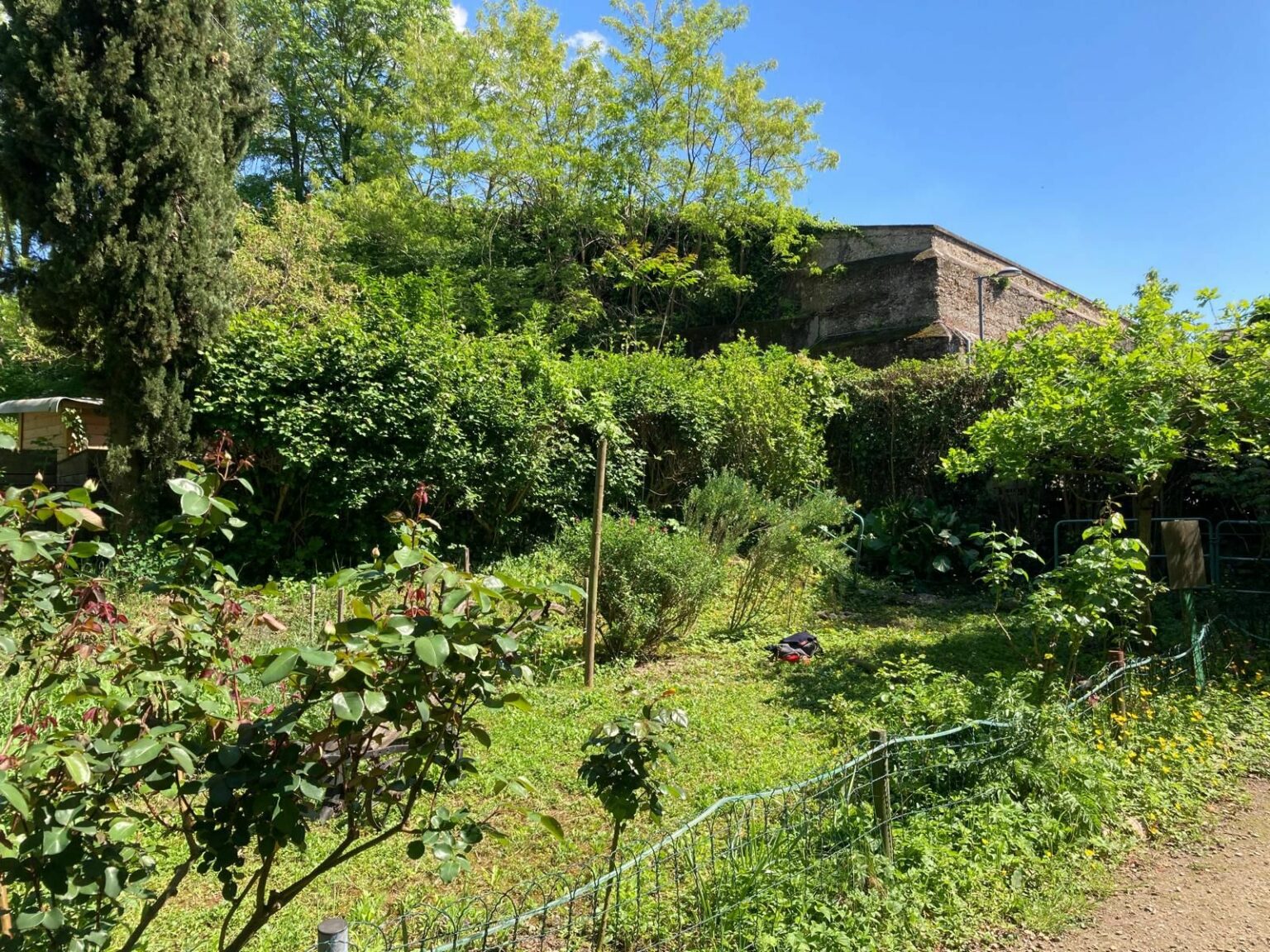 whatsapp image 2025 11 11 at 18.44.47