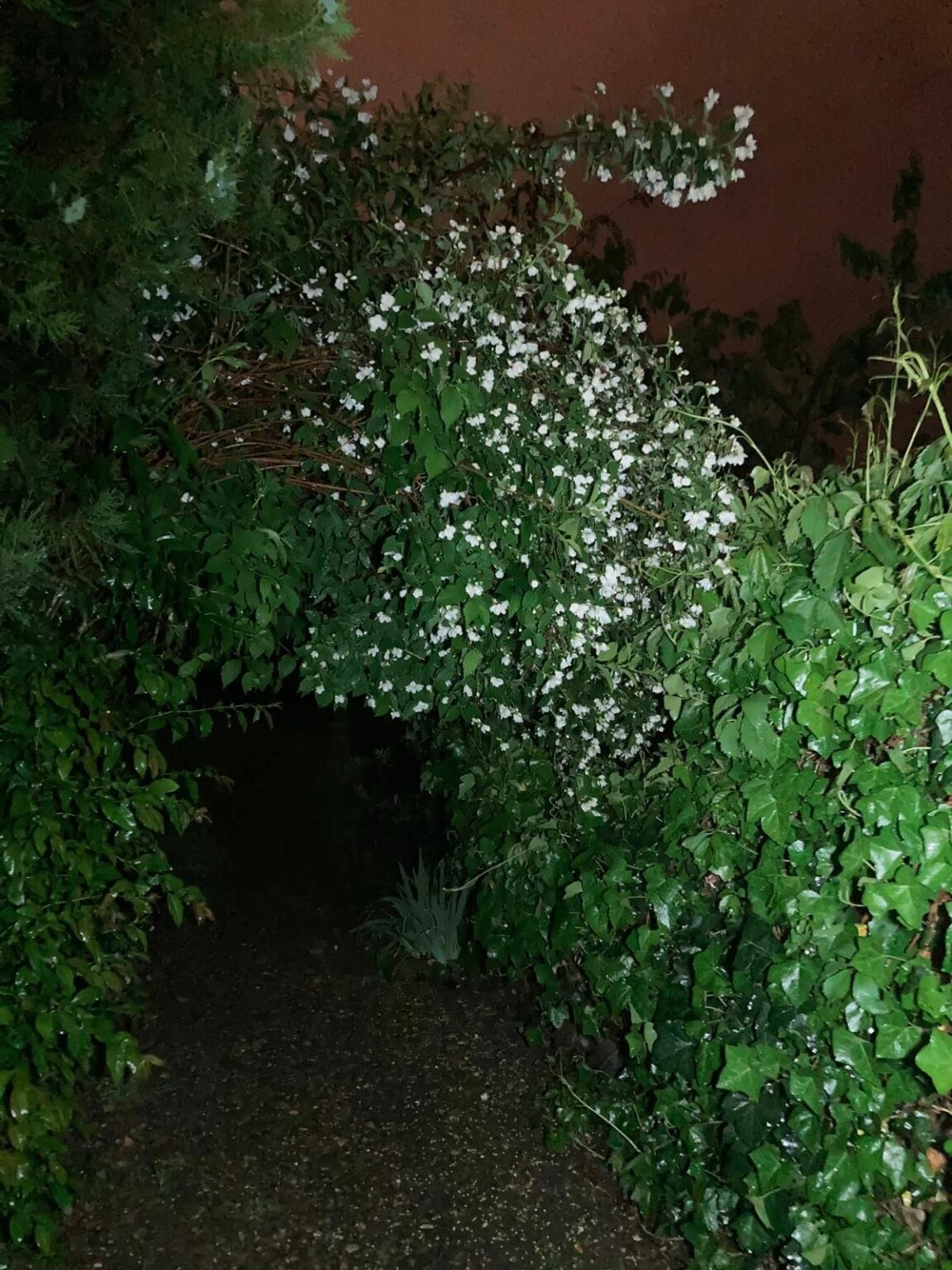 whatsapp image 2025 11 11 at 18.48.22