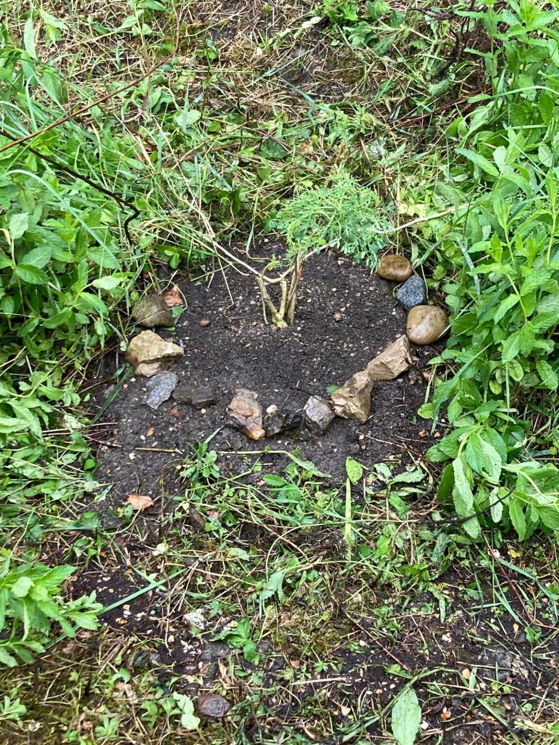 whatsapp image 2025 11 11 at 18.50.11