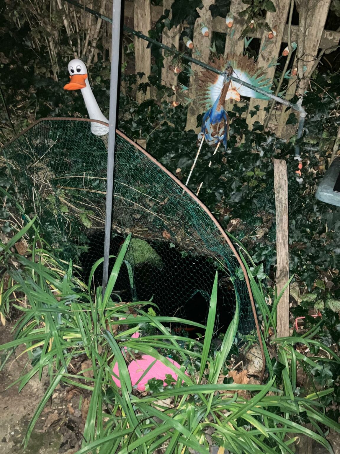 whatsapp image 2025 11 11 at 18.59.56