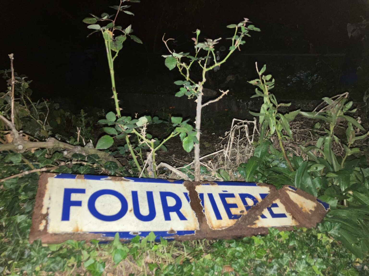 whatsapp image 2025 11 11 at 19.02.22