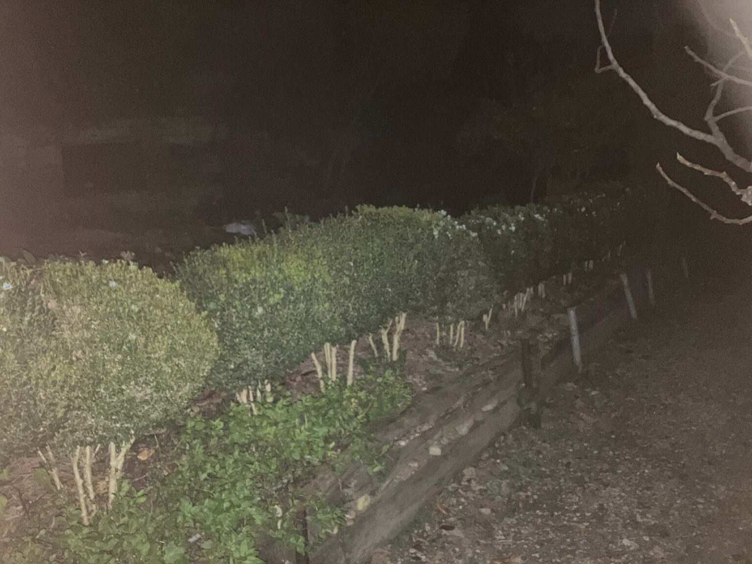 whatsapp image 2025 11 11 at 19.06.52