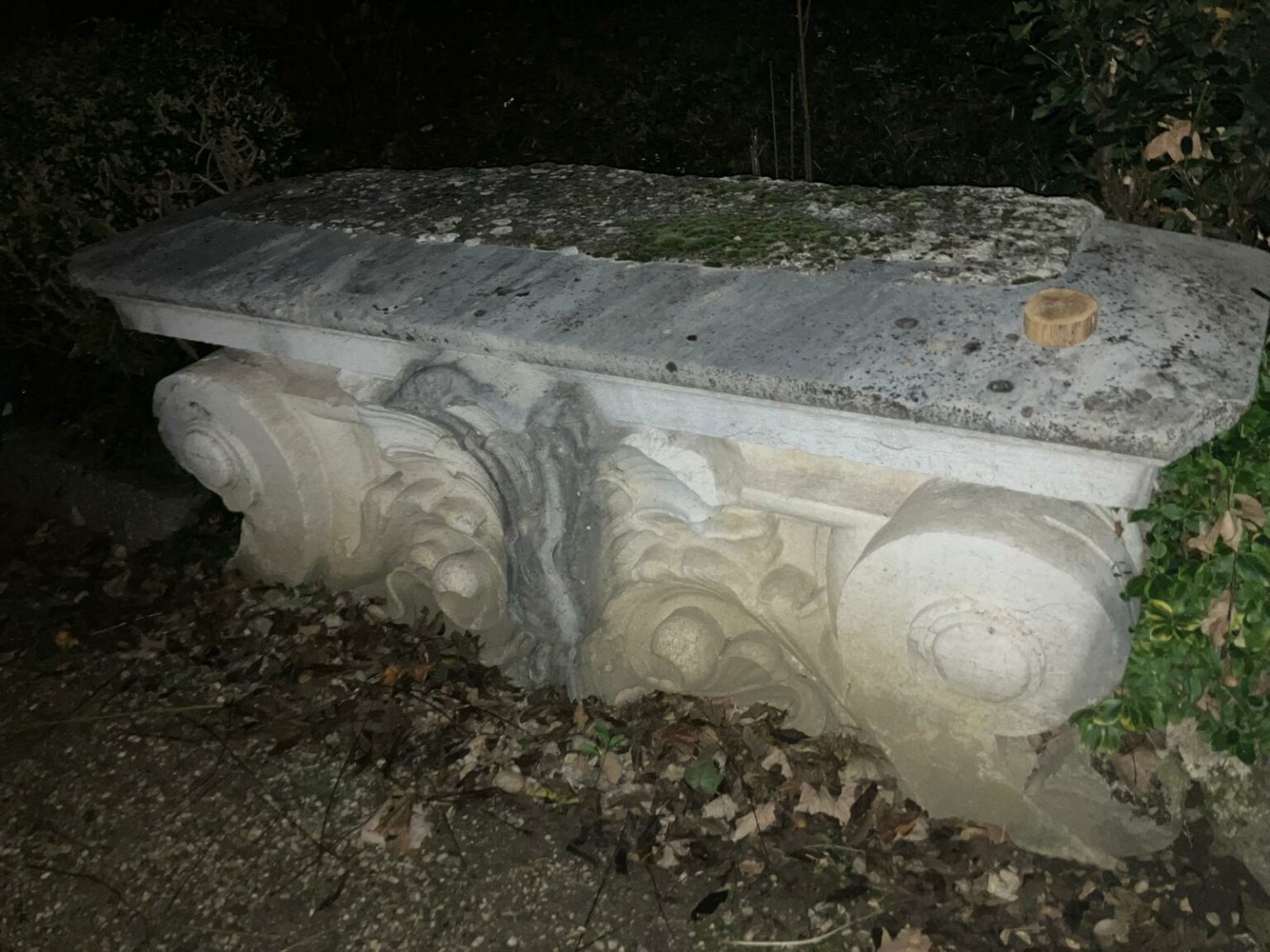 whatsapp image 2025 11 11 at 19.08.53