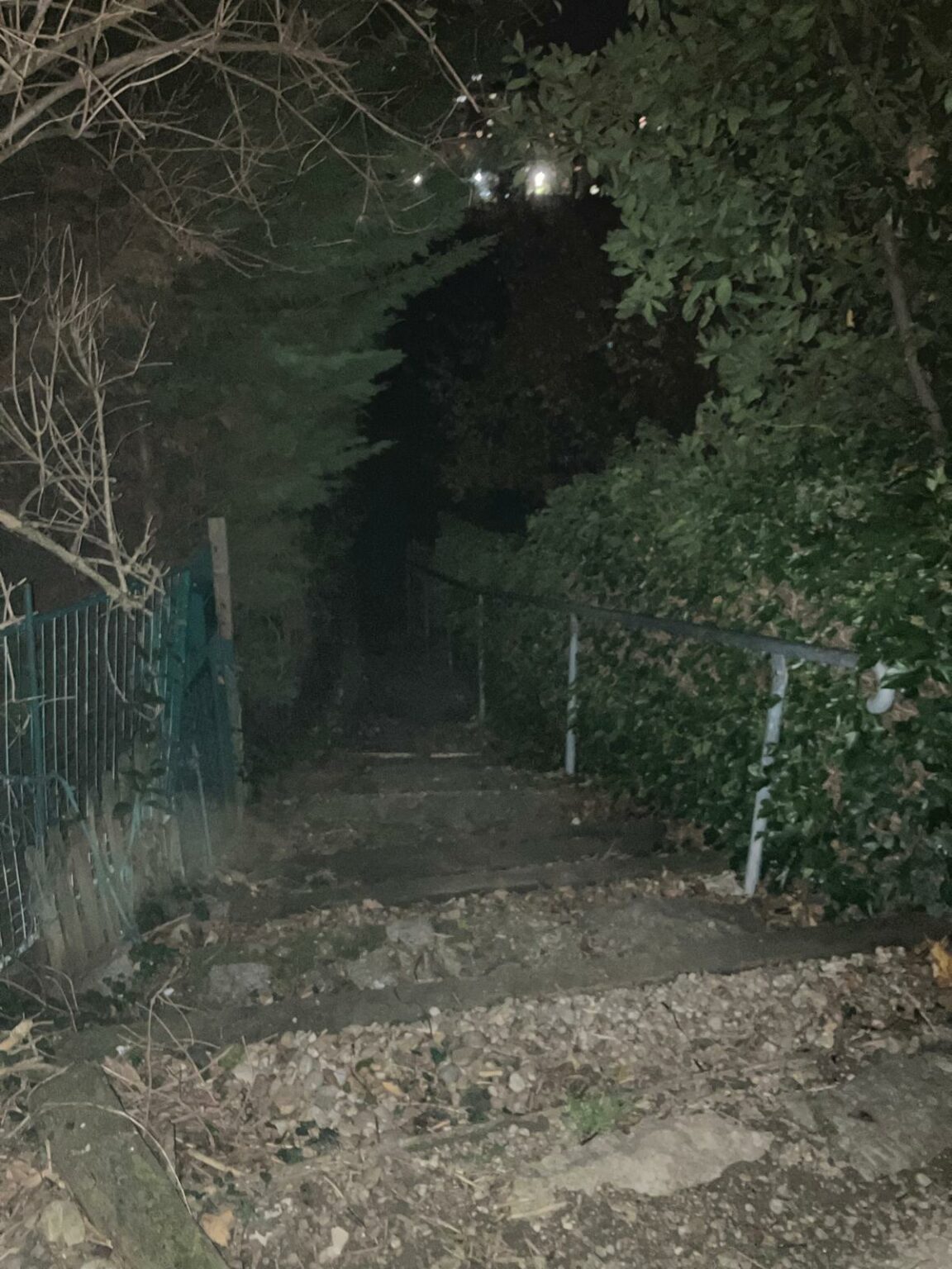 whatsapp image 2025 11 11 at 19.09.49