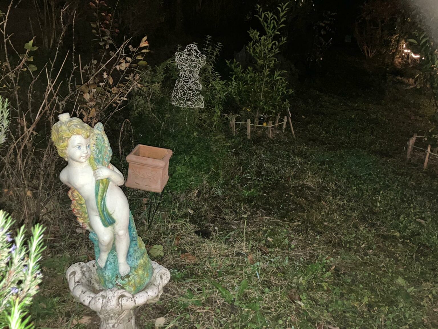 whatsapp image 2025 11 11 at 19.23.46