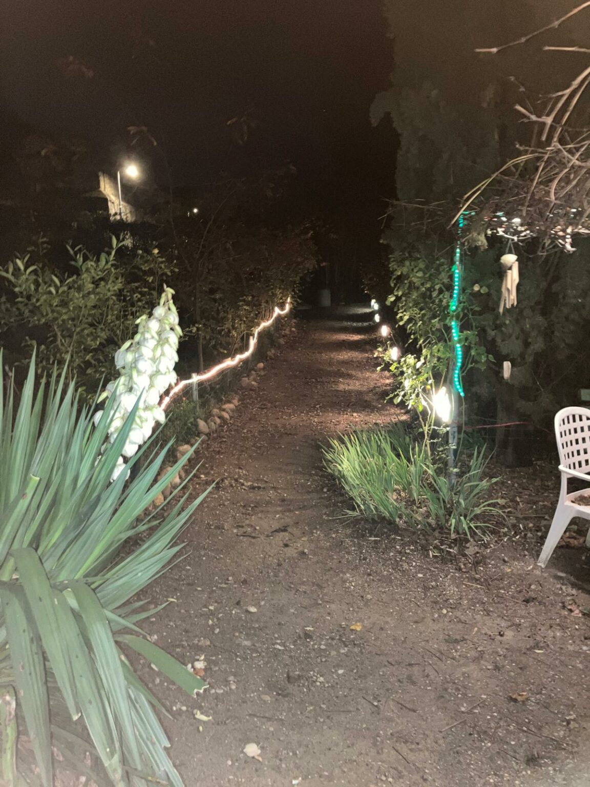 whatsapp image 2025 11 11 at 19.24.58