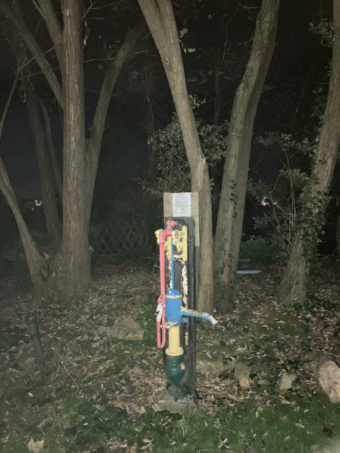 whatsapp image 2025 11 11 at 19.31.44