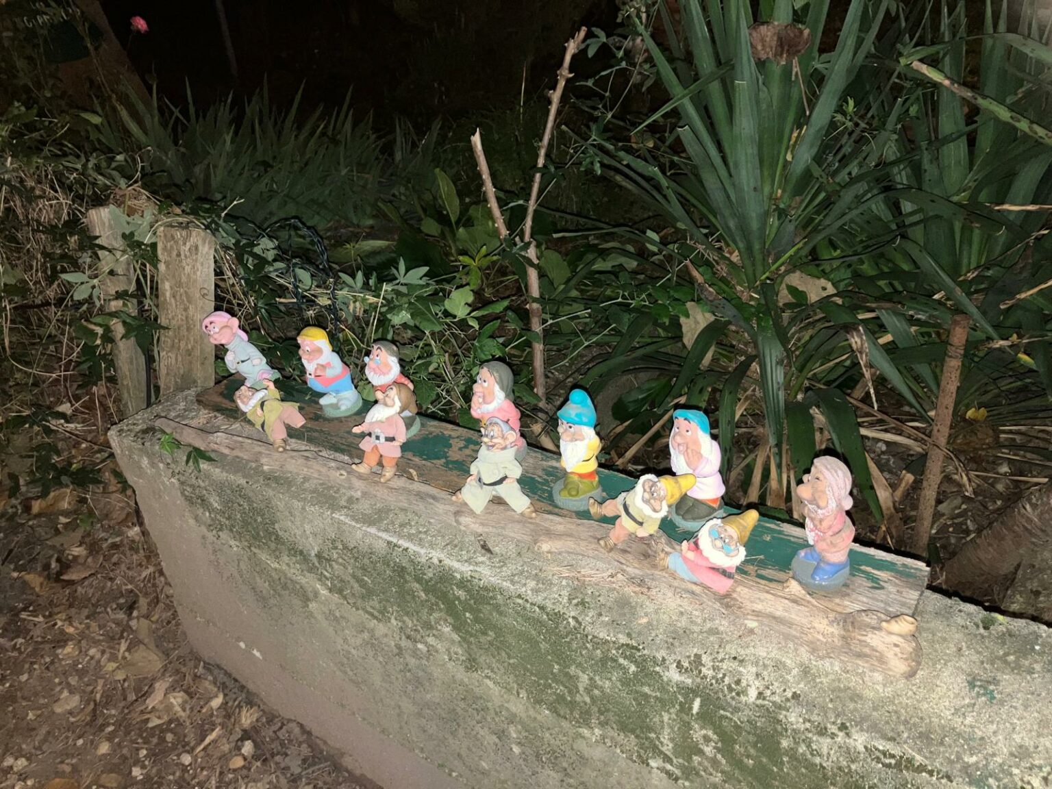 whatsapp image 2025 11 11 at 19.36.23