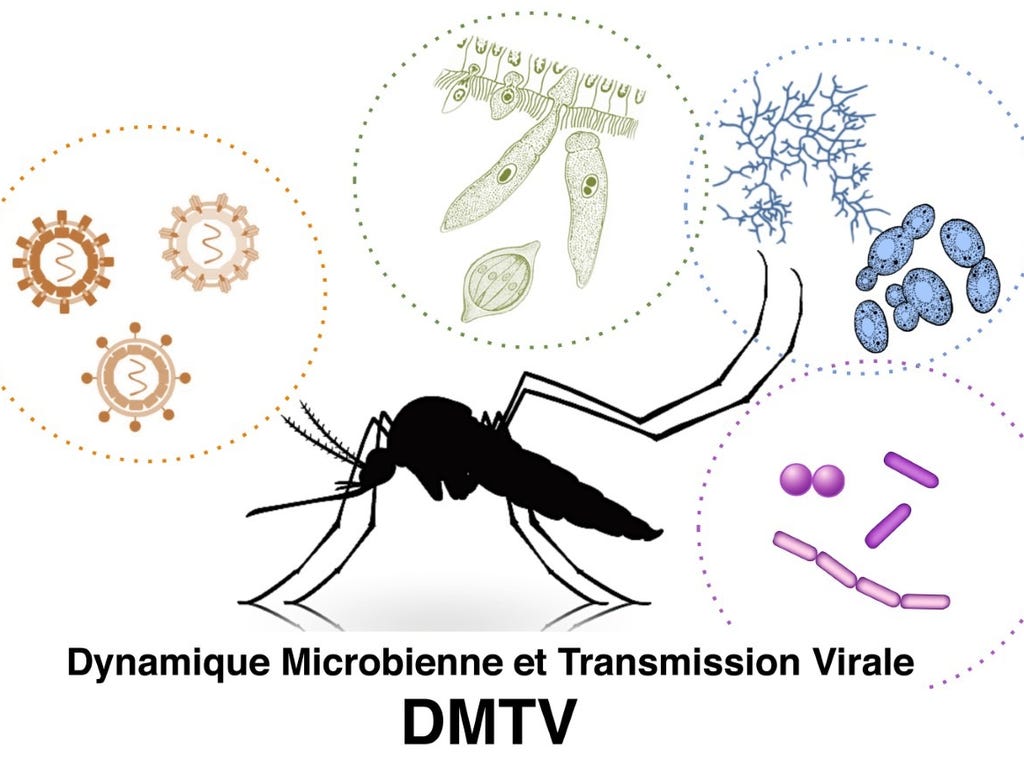 ffccbfab a897 4a77 a8b9 18c34a9fd8cf.jpg format=pjpg&quality=80,90&auto=webp&disable=upscale&width=1024&height=768&trim=0,59,0,59